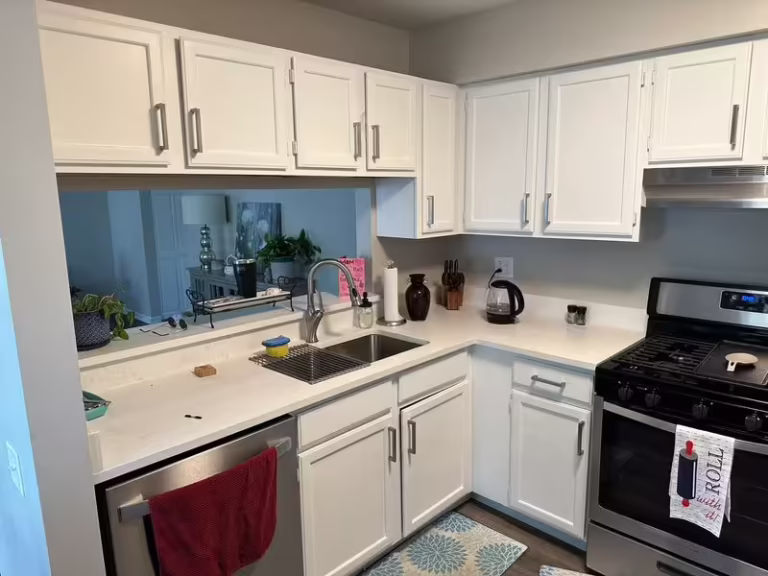 Cream cabinets and a teal backsplash in a Hoffman Estates kitchen before door replacement
